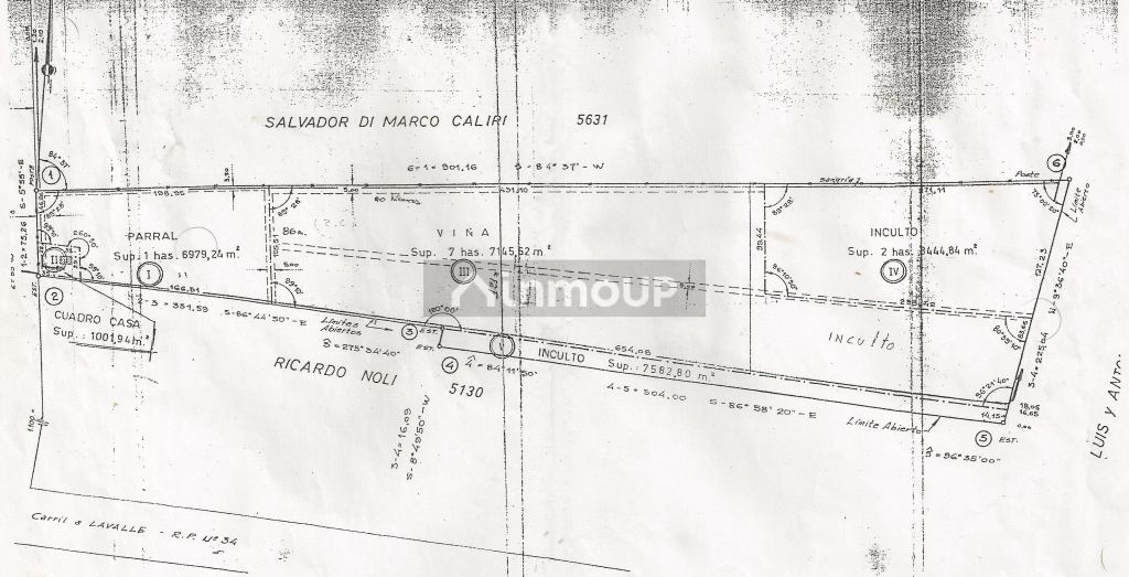 Finca en Venta en Lavalle, Mendoza