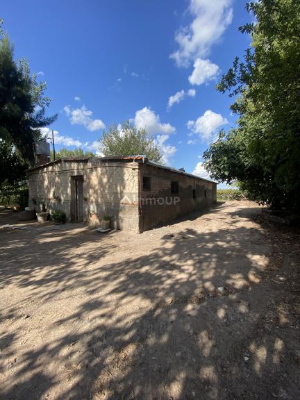 Finca en Venta en Lavalle, Mendoza