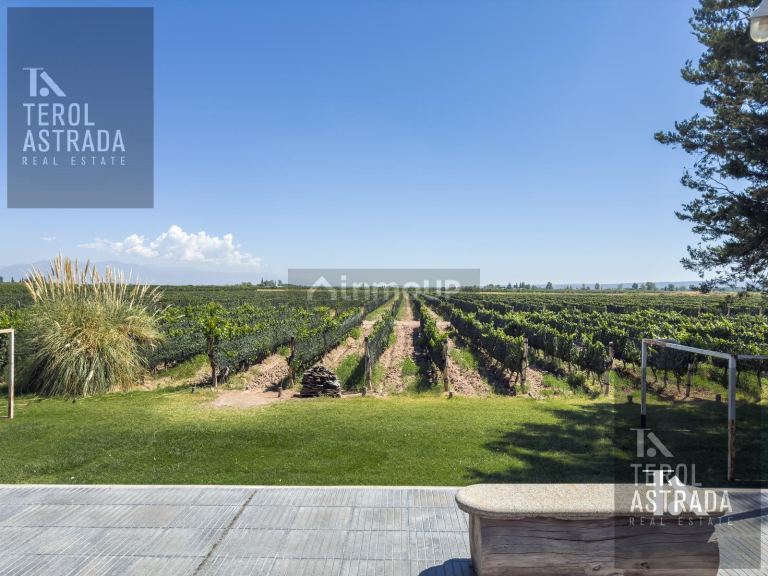 Campo en Venta en Lujan de Cuyo, Mendoza