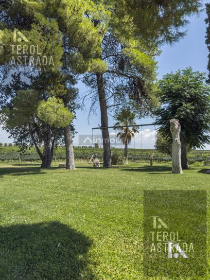 Campo en Venta en Lujan de Cuyo, Mendoza