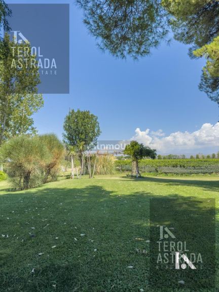 Campo en Venta en Lujan de Cuyo, Mendoza