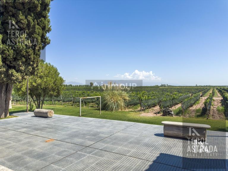 Campo en Venta en Lujan de Cuyo, Mendoza