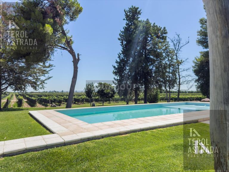Campo en Venta en Lujan de Cuyo, Mendoza