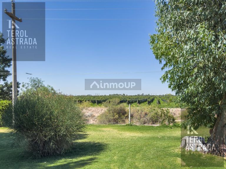 Campo en Venta en Lujan de Cuyo, Mendoza