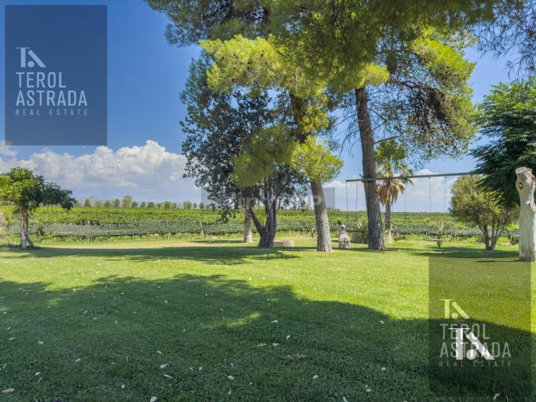Campo en Venta en Lujan de Cuyo, Mendoza