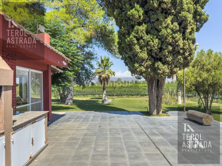 Campo en Venta en Lujan de Cuyo, Mendoza