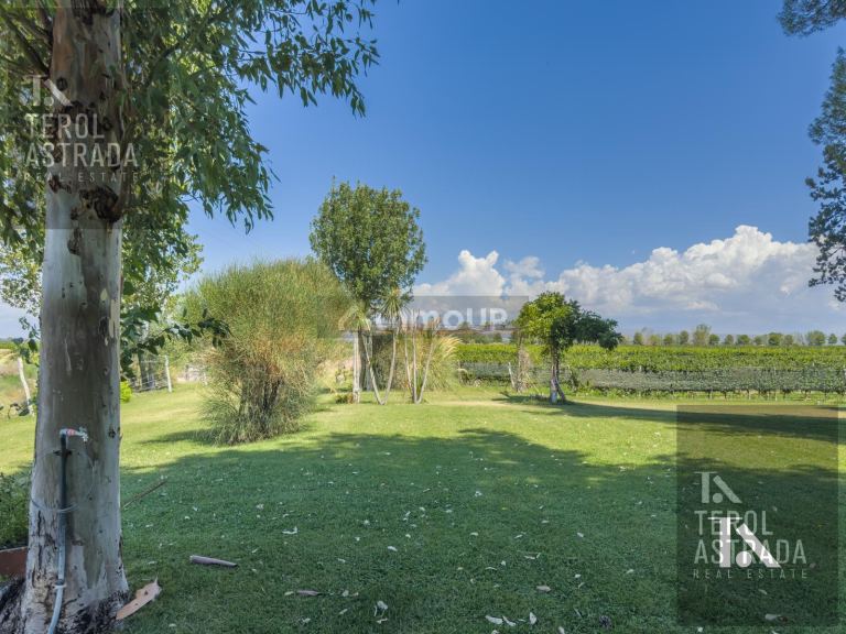 Campo en Venta en Lujan de Cuyo, Mendoza