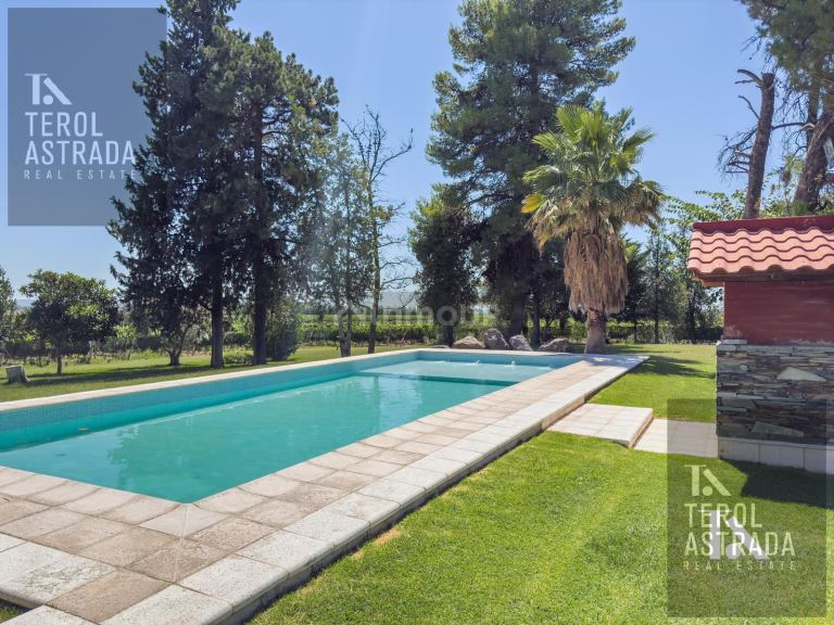 Campo en Venta en Lujan de Cuyo, Mendoza