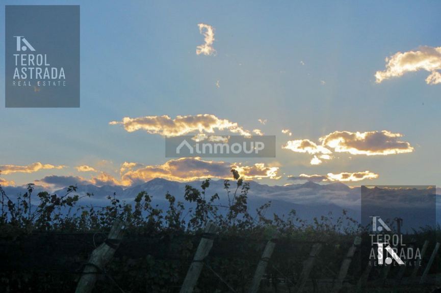Finca en Venta en Tupungato, Mendoza