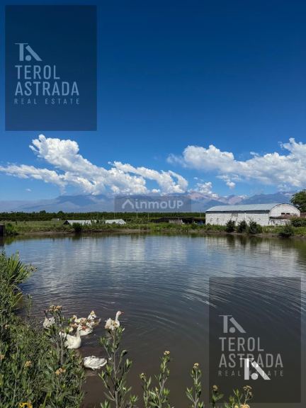 Finca en Venta en Tupungato, Mendoza