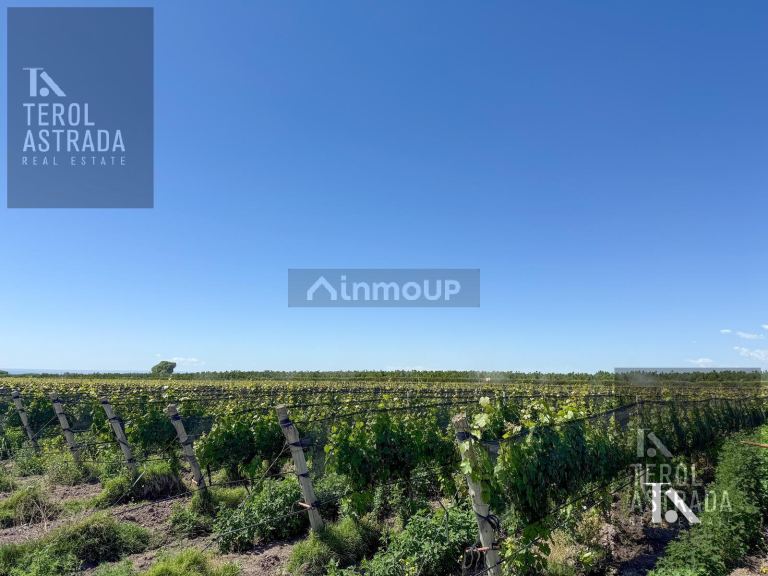 Finca en Venta en Tupungato, Mendoza