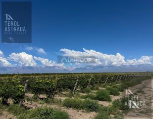 Tupungato Corredor Productivo, Cordón del Plata. Tupungato, Mendoza.