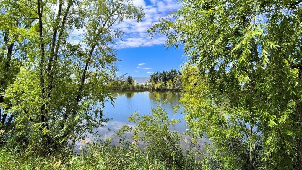 Finca en Venta en Lavalle, Mendoza