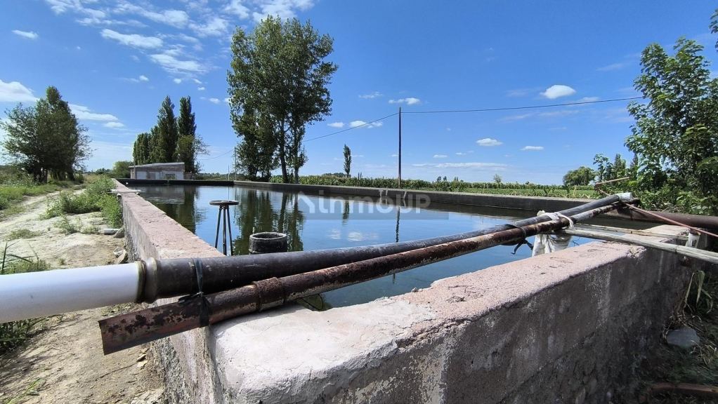 Finca en Venta en Lavalle, Mendoza