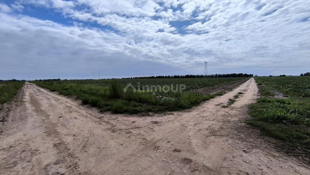 Finca en Venta en Lavalle, Mendoza