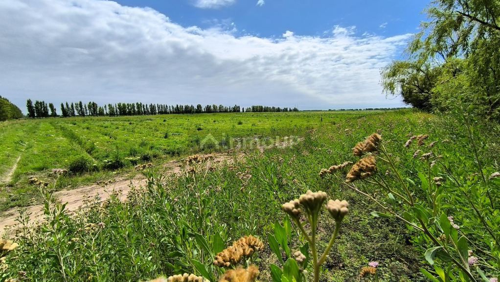 Finca en Venta en Lavalle, Mendoza