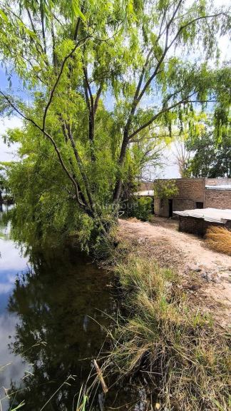 Finca en Venta en Lavalle, Mendoza