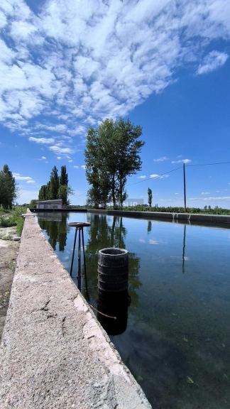 Finca en Venta en Lavalle, Mendoza