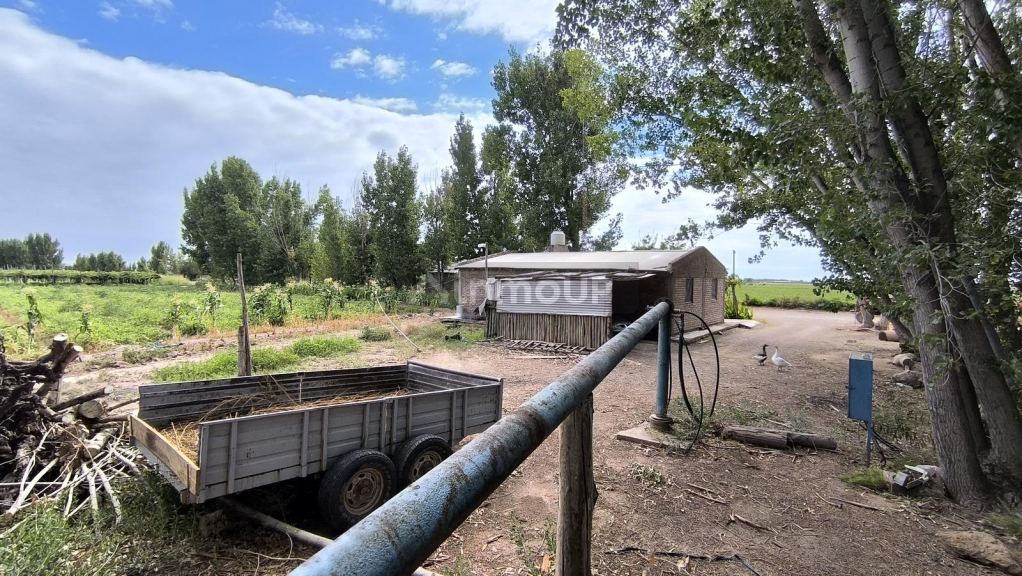Finca en Venta en Lavalle, Mendoza
