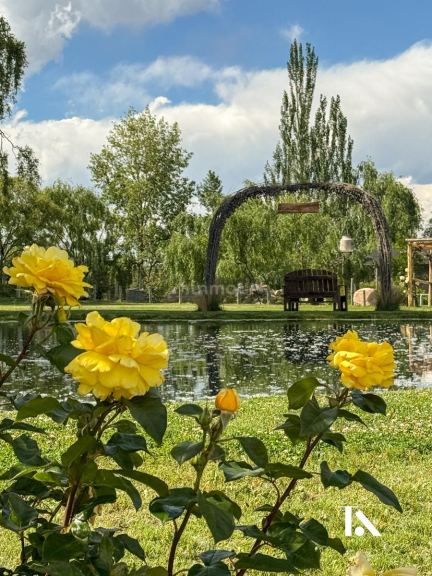 Local Comercial en Venta en Tunuyan, Mendoza