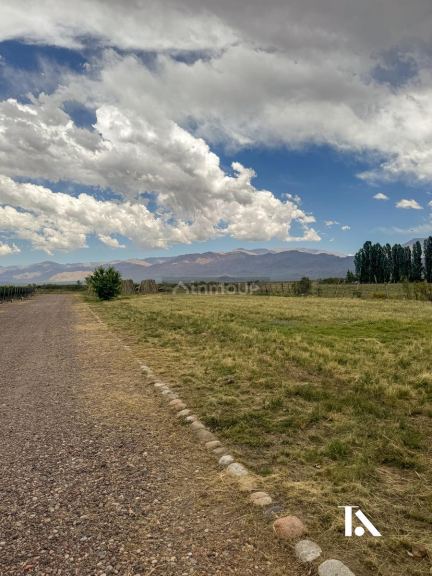 Local Comercial en Venta en Tunuyan, Mendoza