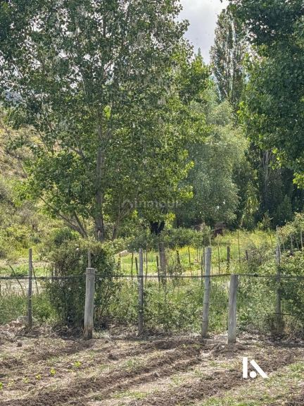 Local Comercial en Venta en Tunuyan, Mendoza