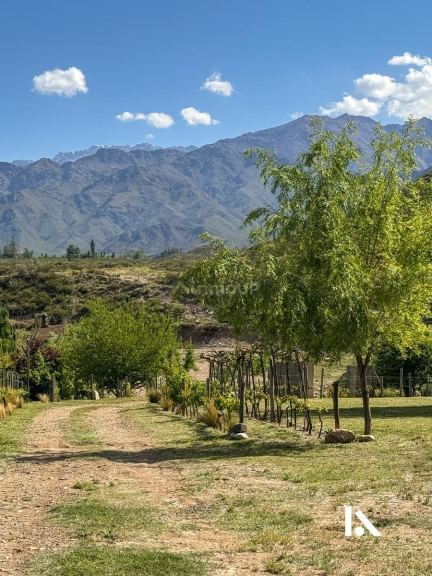 Local Comercial en Venta en Tunuyan, Mendoza