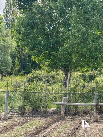 Local Comercial en Venta en Tunuyan, Mendoza