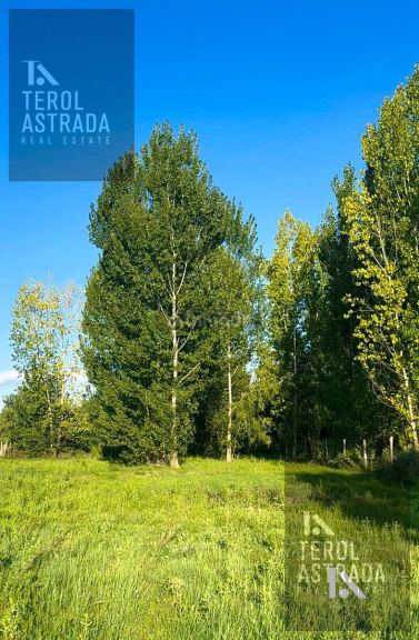 Terreno en Venta en Tunuyan, Mendoza