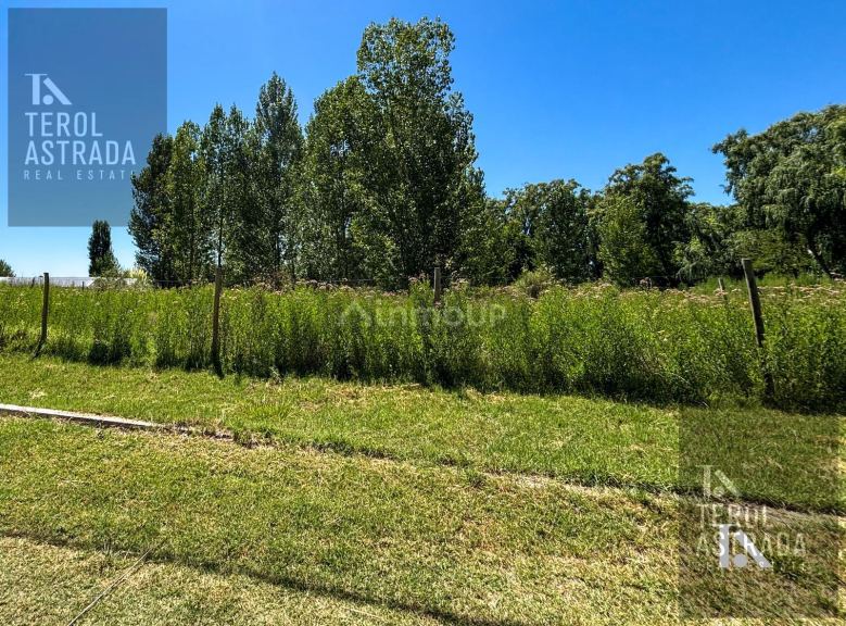 Terreno en Venta en Tunuyan, Mendoza