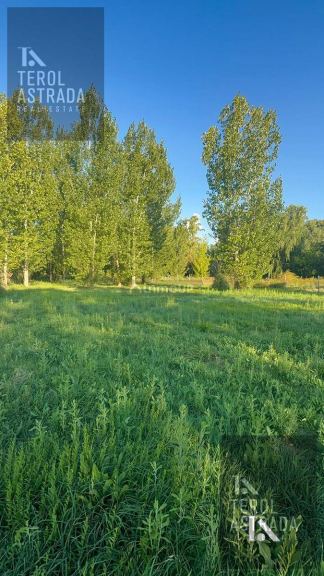 Terreno en Venta en Tunuyan, Mendoza