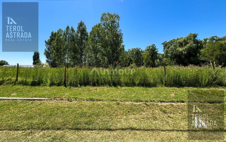 Terreno en Venta en Tunuyan, Mendoza