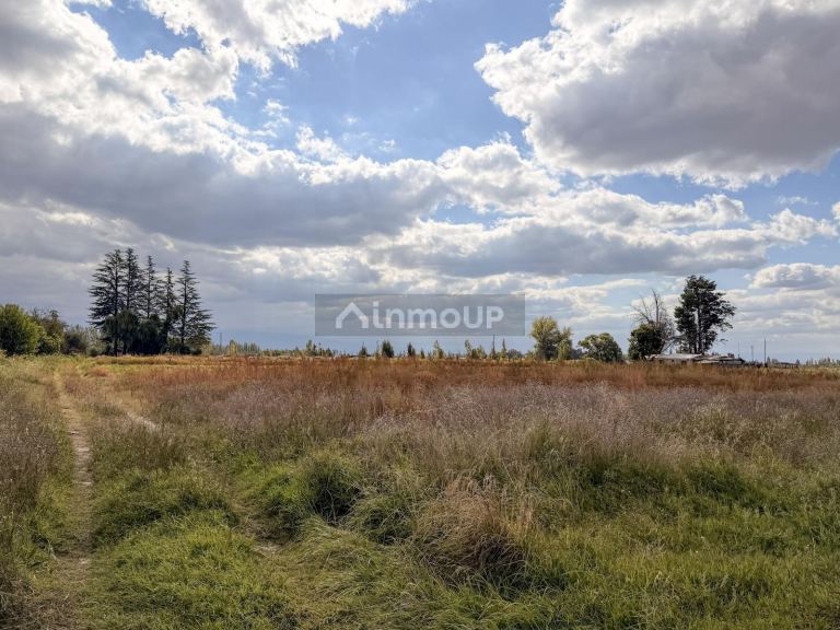Campo en Venta en San Carlos, Mendoza