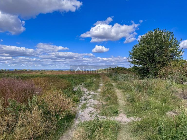 Campo en Venta en San Carlos, Mendoza