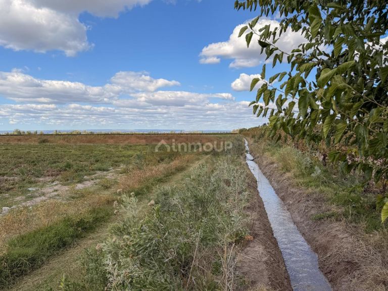 Campo en Venta en San Carlos, Mendoza