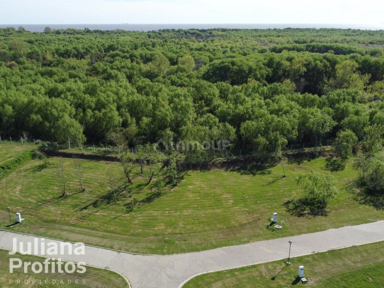 Terreno en Venta en Berazategui, G.B.A. Zona Sur
