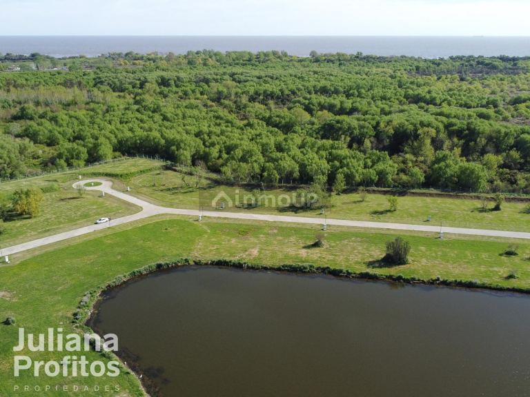 Terreno en Venta en Berazategui, G.B.A. Zona Sur