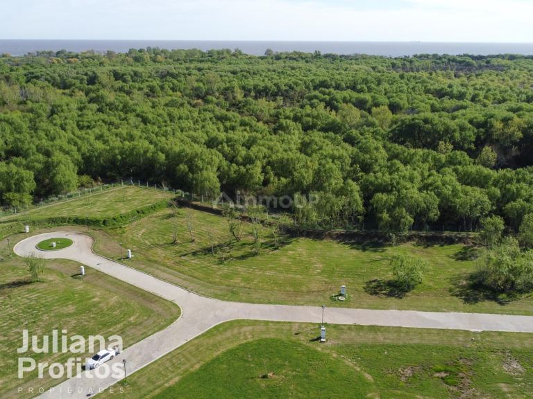 Terreno en Venta en Berazategui, G.B.A. Zona Sur