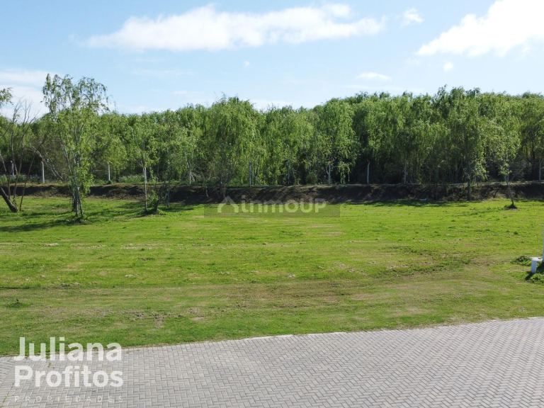 Terreno en Venta en Berazategui, G.B.A. Zona Sur