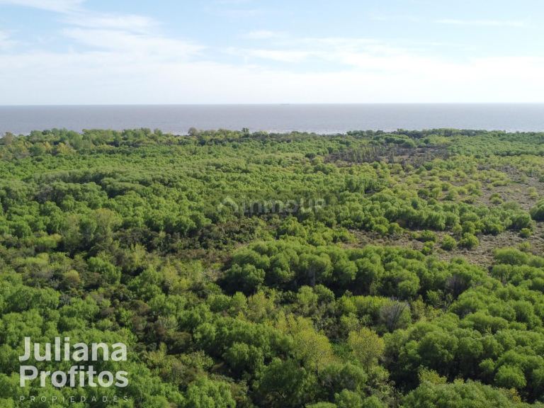 Terreno en Venta en Berazategui, G.B.A. Zona Sur