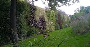 Lote en Alquiler en Tunuyan, Mendoza