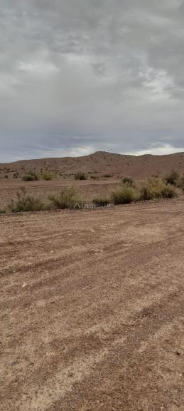 Campo en Venta en Calingasta, San Juan