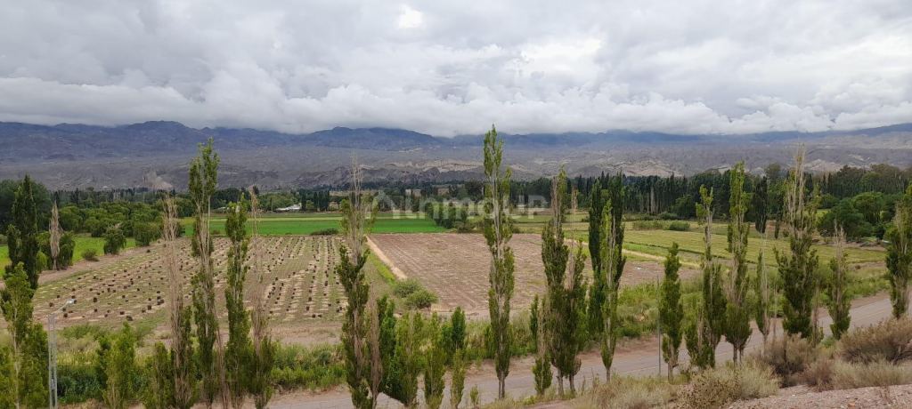 Campo en Venta en Calingasta, San Juan