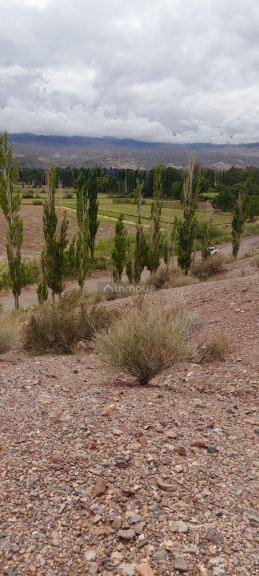 Campo en Venta en Calingasta, San Juan