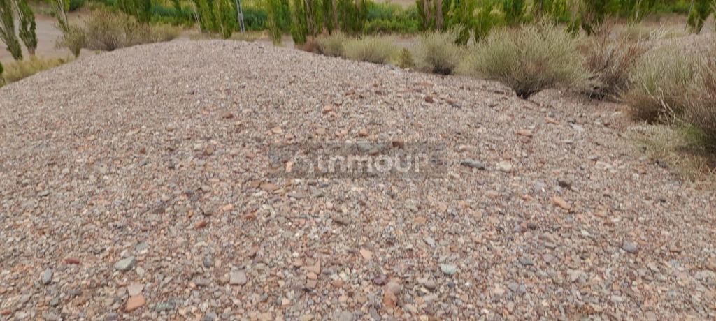Campo en Venta en Calingasta, San Juan