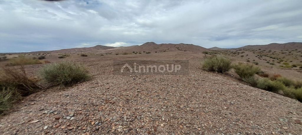Campo en Venta en Calingasta, San Juan