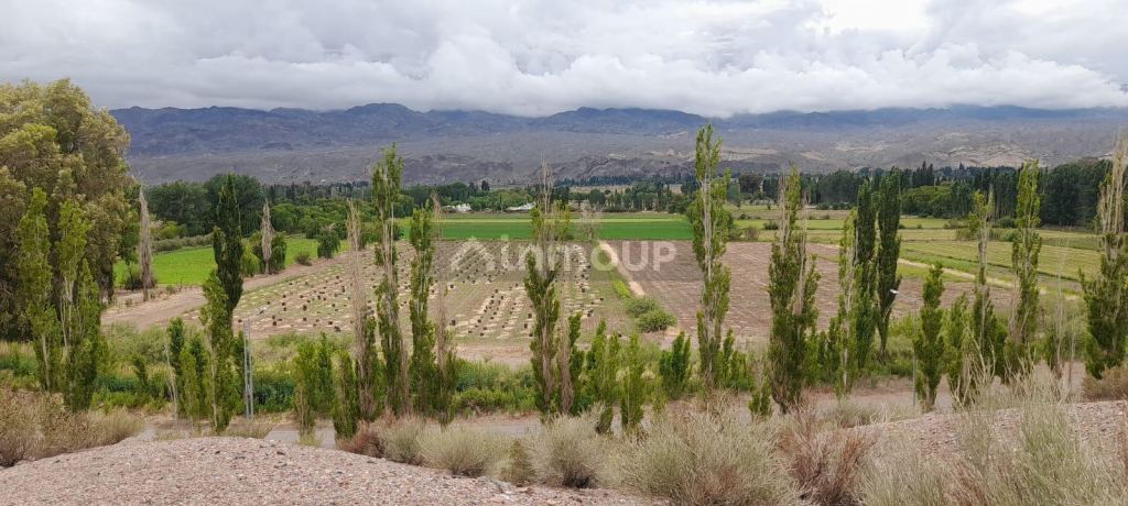 Campo en Venta en Calingasta, San Juan