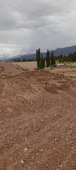 Campo en Venta en Calingasta, San Juan