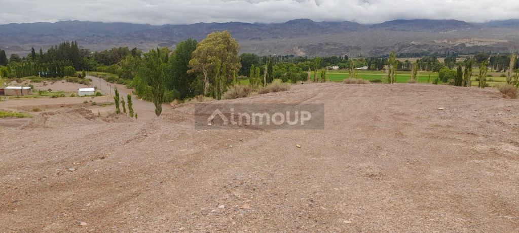 Campo en Venta en Calingasta, San Juan