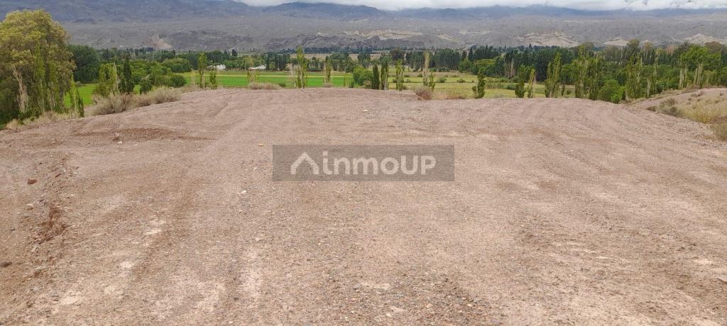 Campo en Venta en Calingasta, San Juan